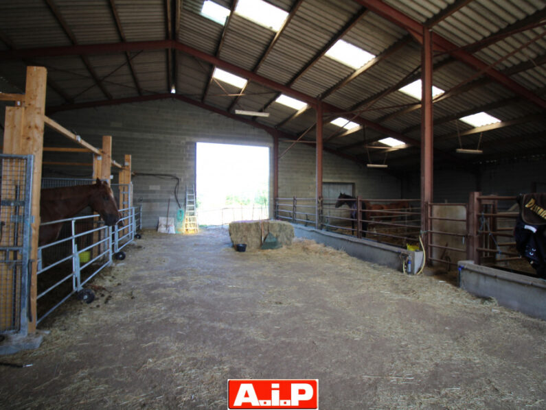 RARE ! Grande ferme pour activités équestres ou gîtes