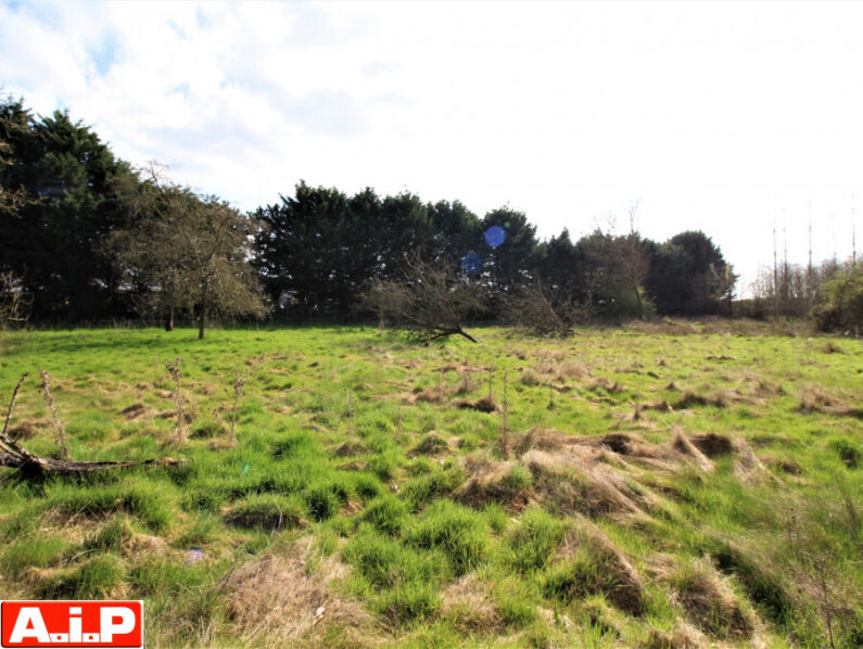 EXCLUSIVITE AIP - TERRAIN CONSTRUCTIBLE A CERIZAY