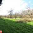 EXCLUSIVITE AIP - TERRAIN CONSTRUCTIBLE A CERIZAY