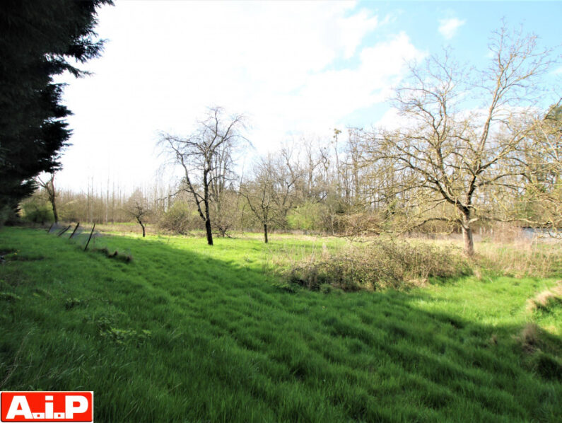 EXCLUSIVITE AIP - TERRAIN CONSTRUCTIBLE A CERIZAY