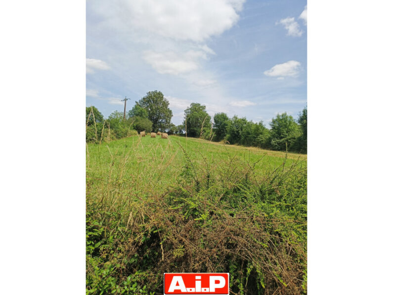 TERRAIN en partie constructible