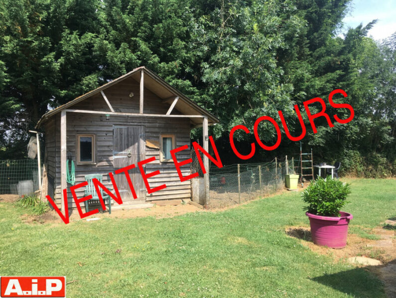 Exclusivité A.I.P