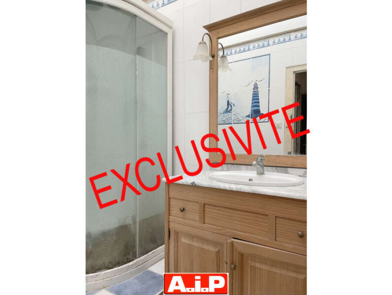 EXCLUSIVITE AIP LA CHATAIGNERAIE