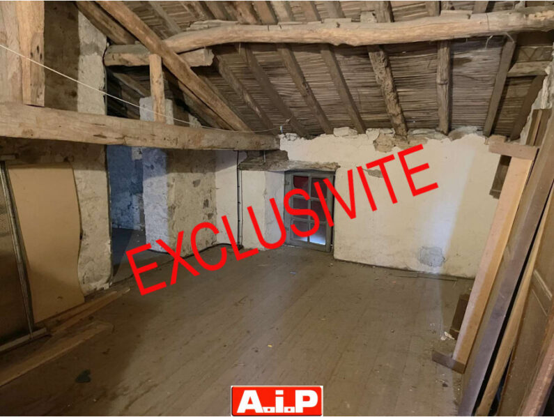 EXCLUSIVITE AIP LA CHATAIGNERAIE