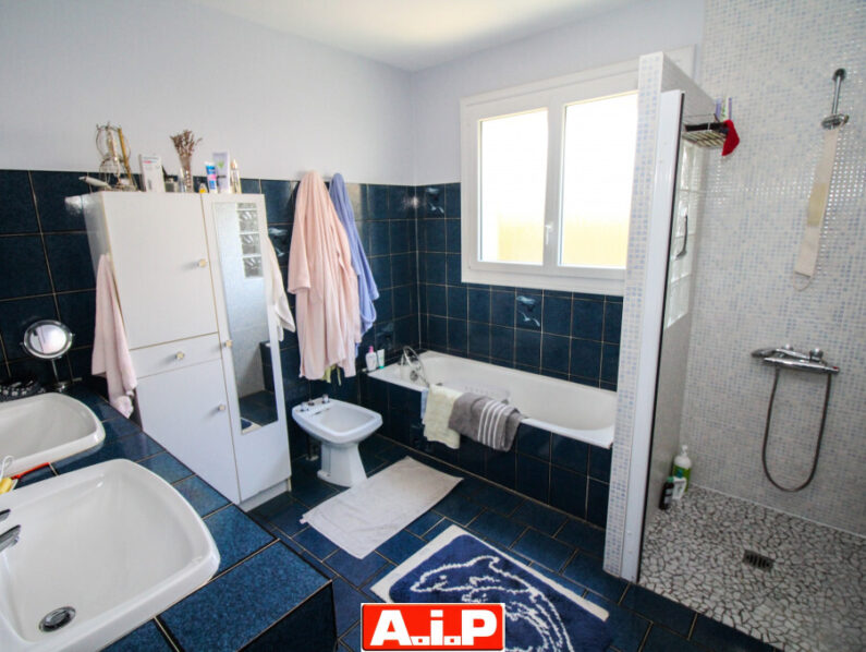 EXCLUSIVITE AIP ! A 5MIN DE CERIZAY