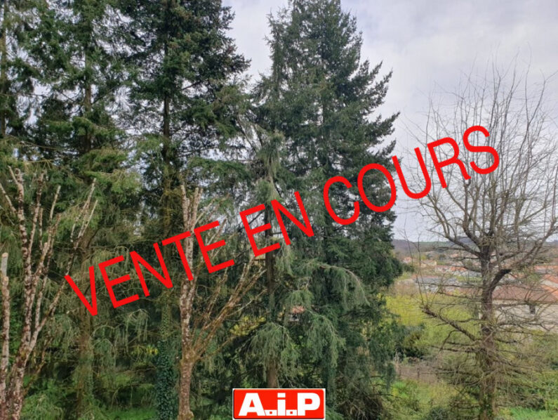 POUZAUGES - EXCLUSIVITE AIP