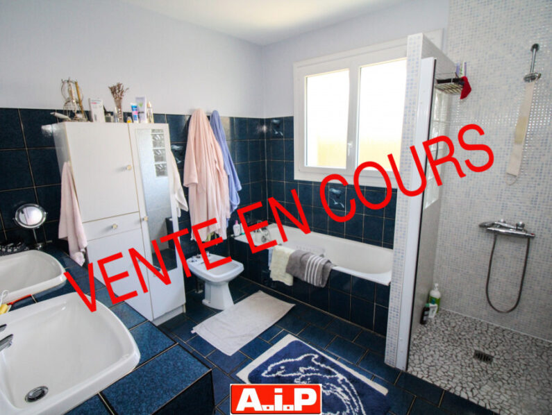 EXCLUSIVITE AIP ! A 5MIN DE CERIZAY