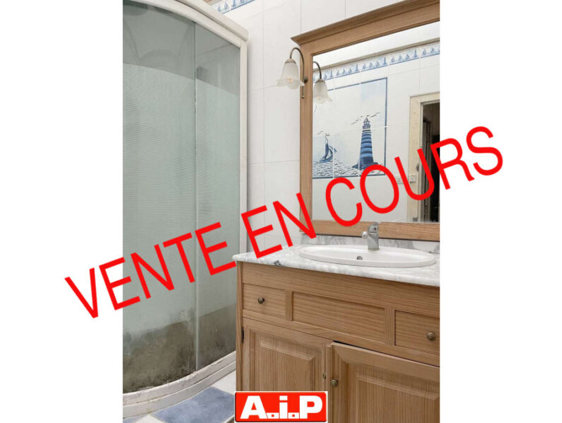 EXCLUSIVITE AIP LA CHATAIGNERAIE