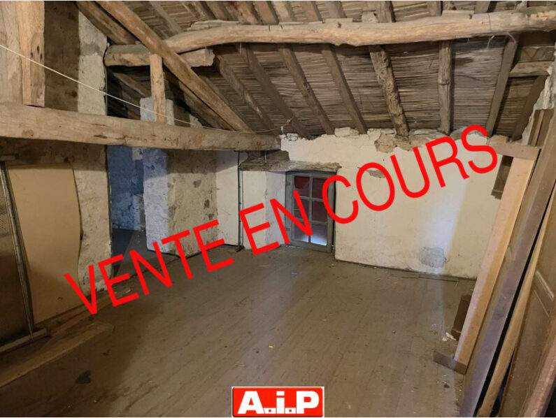 EXCLUSIVITE AIP LA CHATAIGNERAIE