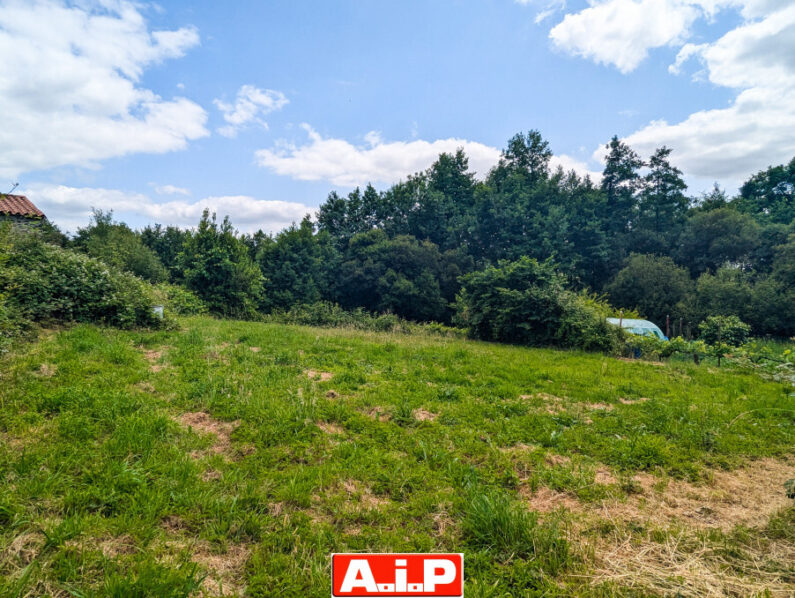 EN EXCLUSIVITE ! 10 mn de BRESSUIRE