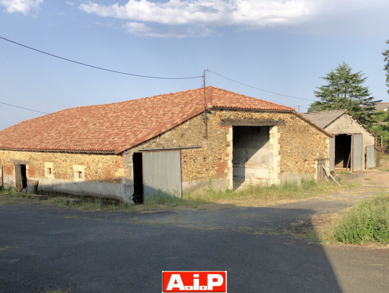 Maison 5 chambres - Dépendances - 1,4ha
