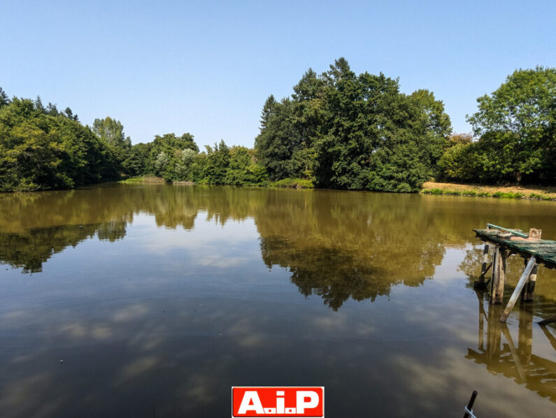 AUX PORTES DE CERIZAY - PAVILLON DE PLAIN PIED AVEC UN ETANG