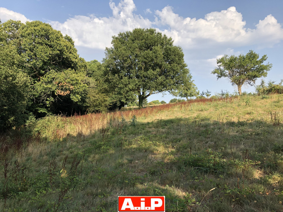 Maison 5 chambres - Dépendances - 1,4ha