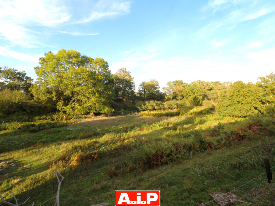 A 10 MIN DE MAULEON / AU CALME DE LA CAMPAGNE